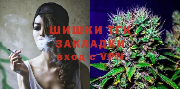 стаф Липки