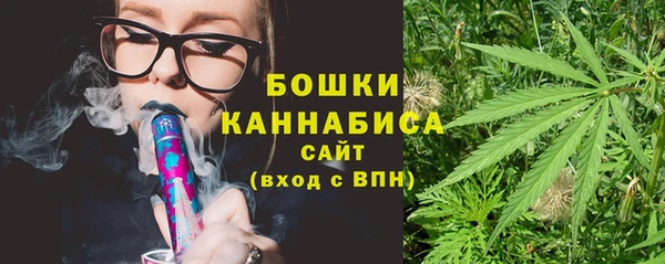 ПСИЛОЦИБИНОВЫЕ ГРИБЫ Лиски