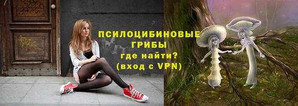 гашик Лихославль