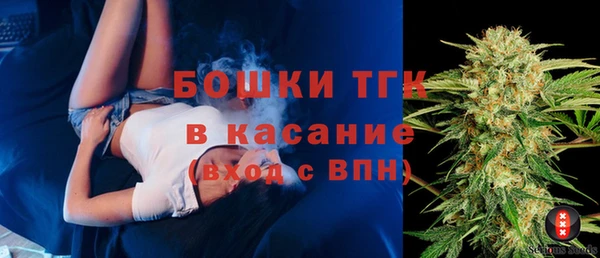 стаф Липки
