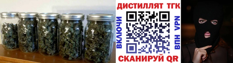 ТГК концентрат  закладка  Болохово 