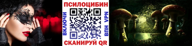Псилоцибиновые грибы Cubensis  купить наркотики цена  Болохово 